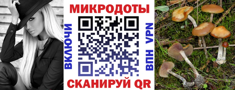 МЕГА онион  Каспийск  даркнет телеграм  Галлюциногенные грибы MAGIC MUSHROOMS 