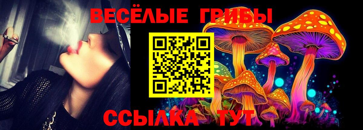 Галлюциногенные грибы Psilocybine cubensis Каспийск